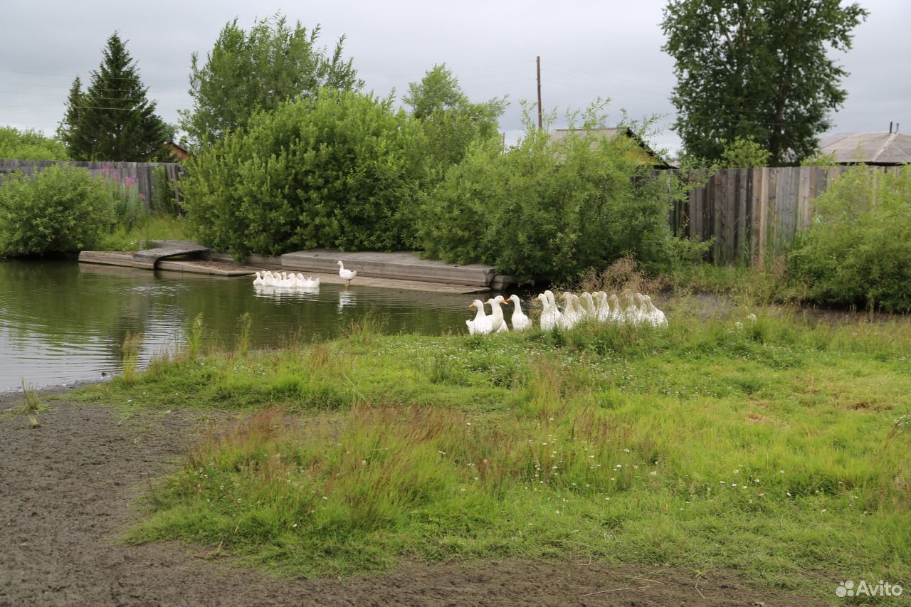 Мебель бакчар