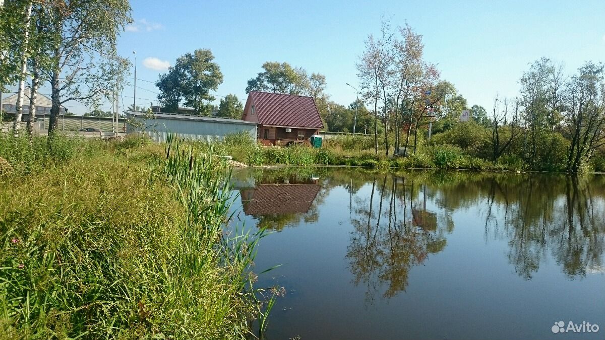 Солнечногорский деревня. Деревня Чашниково Солнечногорский. Чашниково Солнечногорский район пруд. Поселок Чашниково Московская область. Дом у озера Солнечногорский район.