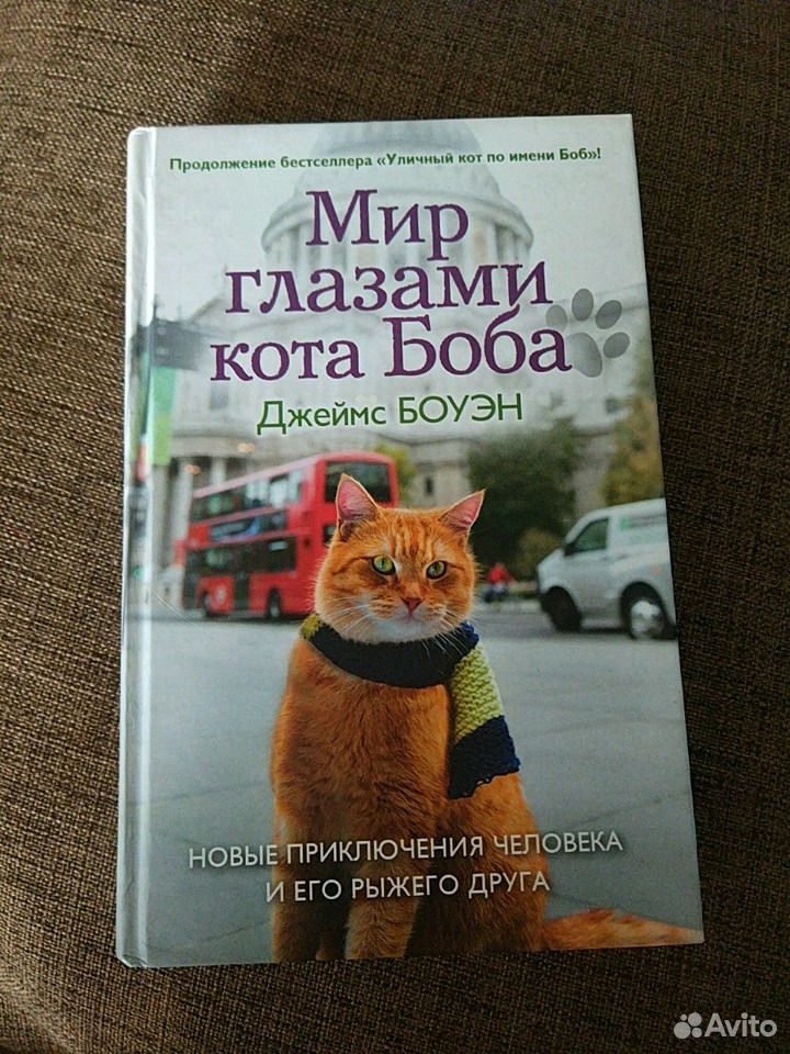 Читать книгу кот боб