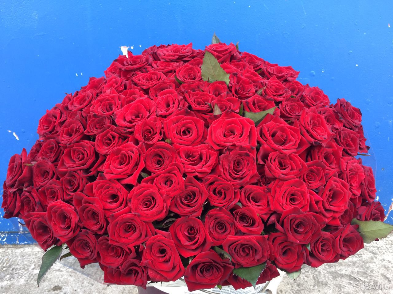 Букеты роз купить на Зозу.ру - фотография № 2