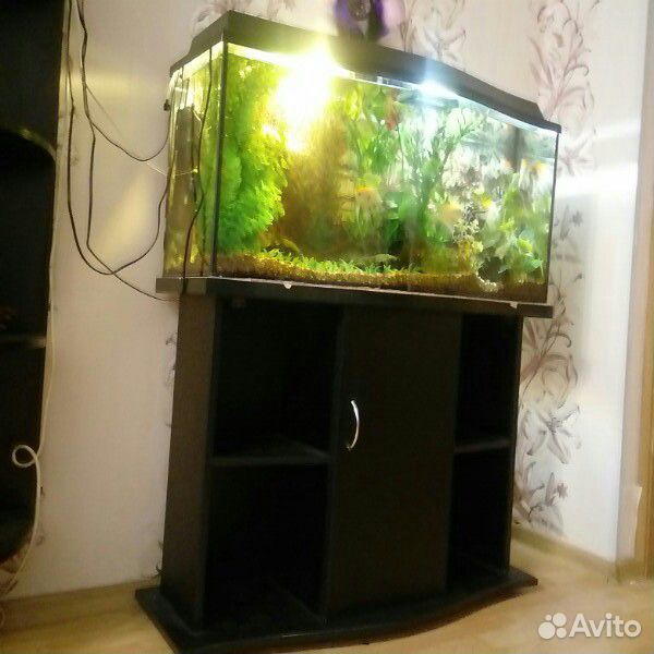 Продам аквариум 130л с тумбой купить на Зозу.ру - фотография № 7