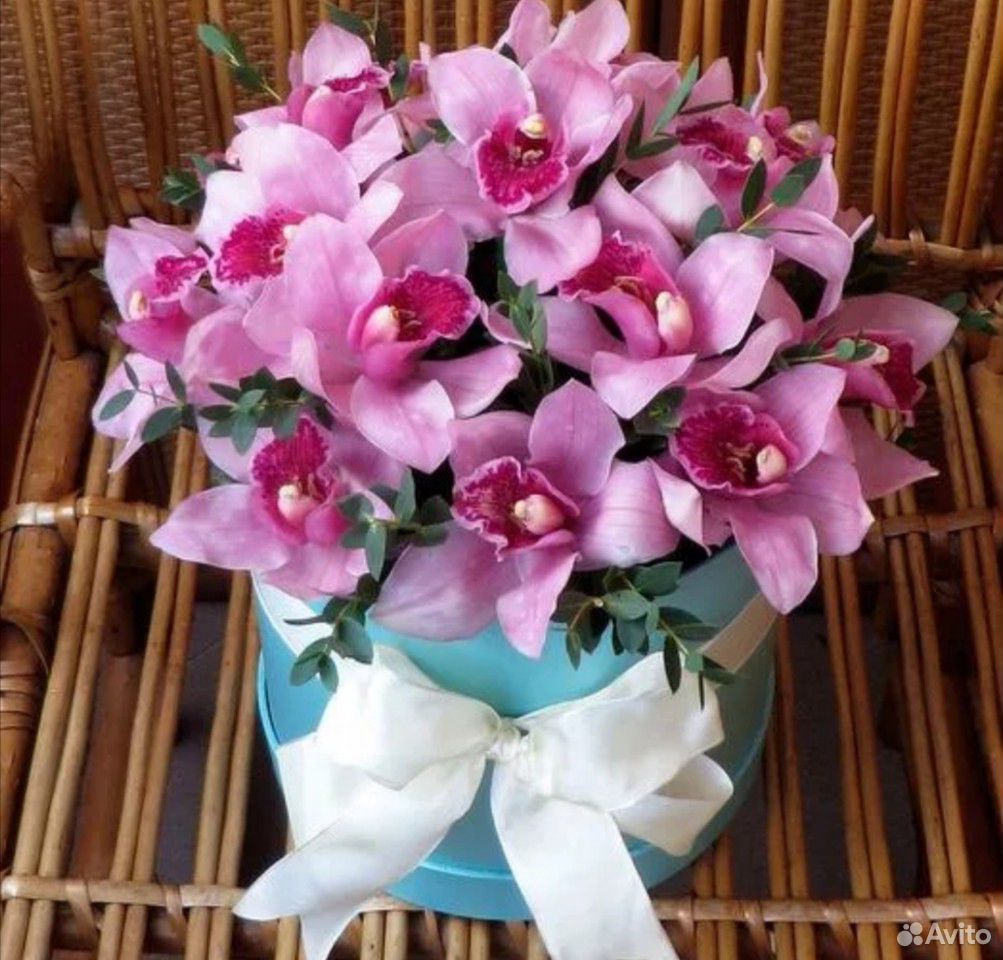 Орхидеи букеты цветы и доставка купить на Зозу.ру - фотография № 1