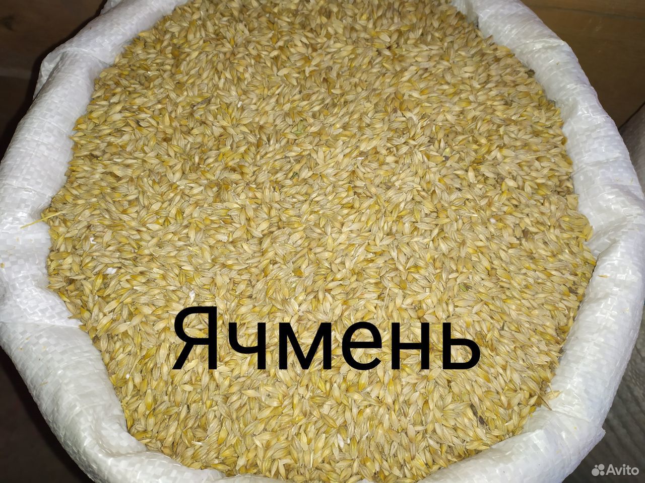 Комбикорм,зерно,дробленка купить на Зозу.ру - фотография № 3