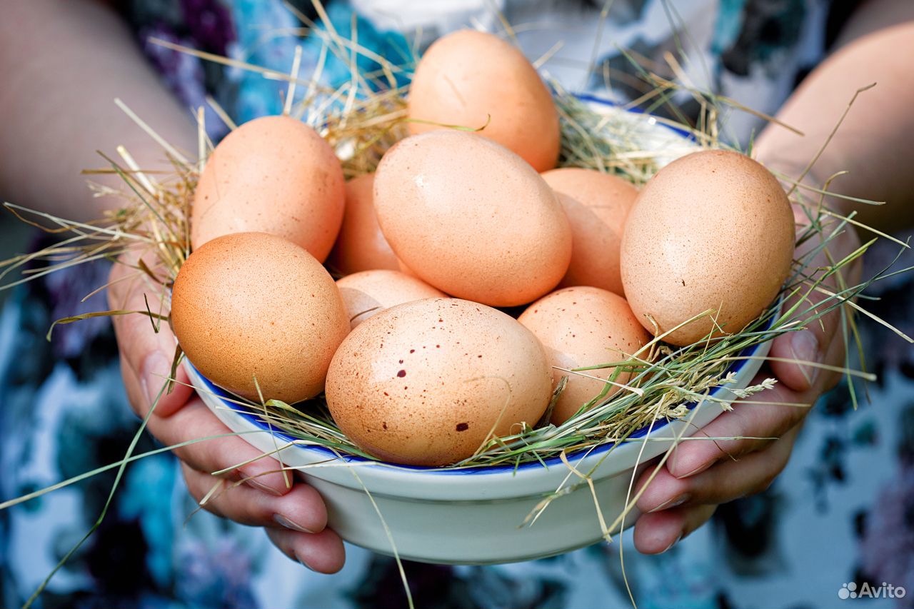 Яйца куриные деревенские и козье молоко купить на Зозу.ру - фотография № 1