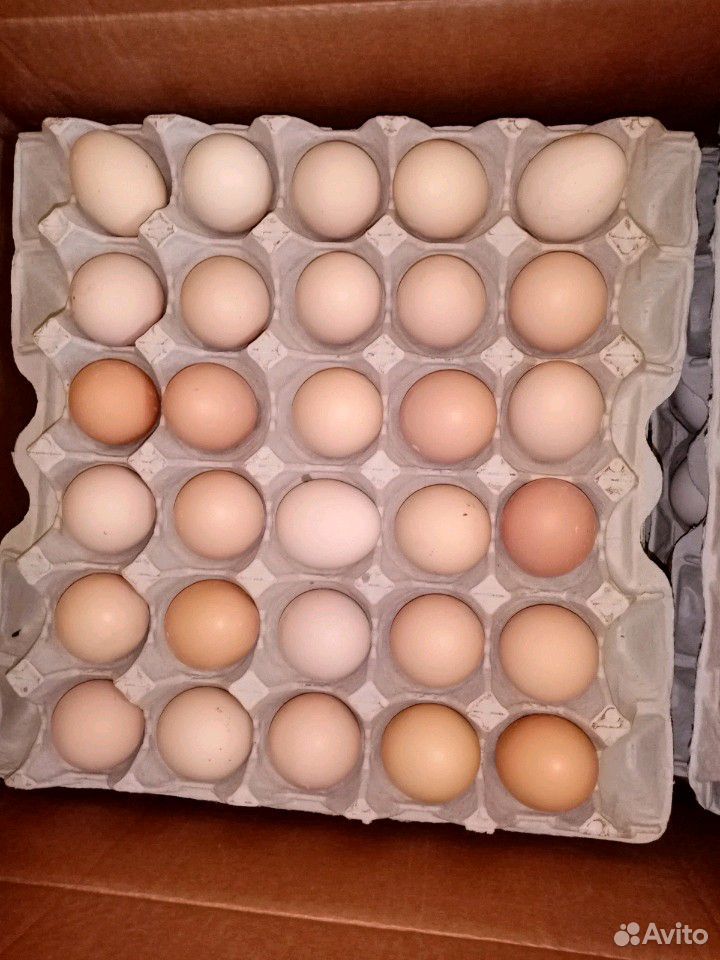 Фермерские яйца купить на Зозу.ру - фотография № 1