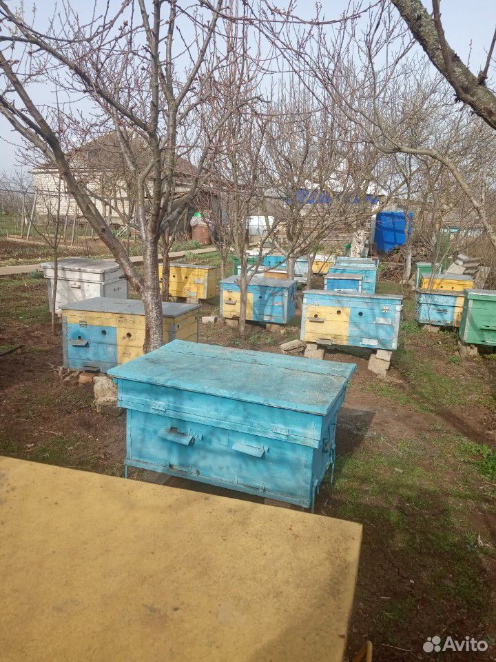 Пчело-пакеты купить на Зозу.ру - фотография № 1