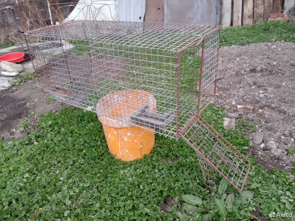 Клетка для кроликов купить на Зозу.ру - фотография № 3