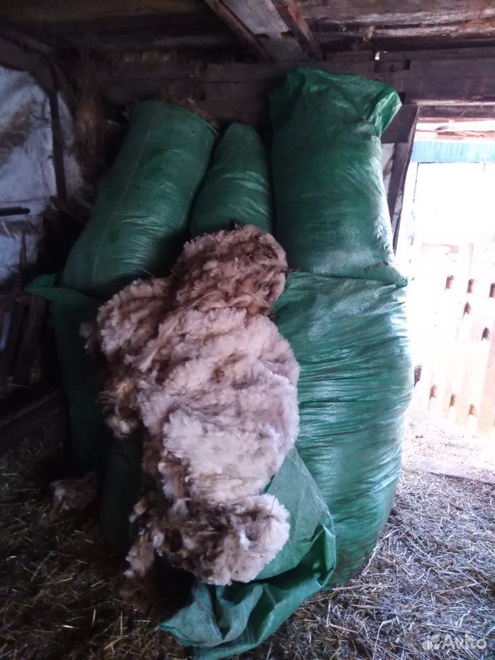 Шерсть овечья купить на Зозу.ру - фотография № 2
