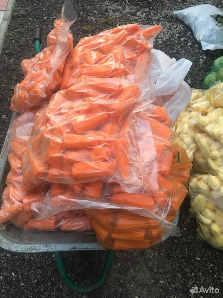 Морковь корм для животных купить на Зозу.ру - фотография № 1