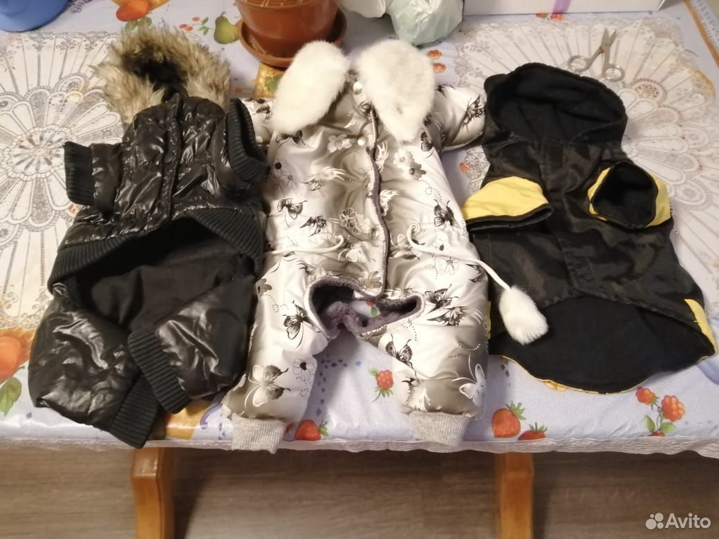 Одежда для собаки купить на Зозу.ру - фотография № 1