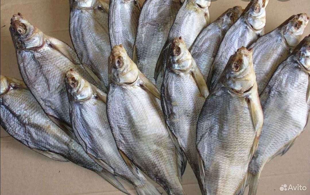 Рыба лещ 5 тон по 110 купить на Зозу.ру - фотография № 1