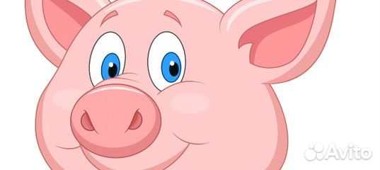 Продам свинью живым весом (90кг) купить на Зозу.ру - фотография № 1