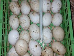 Яйца гусиные и утиные