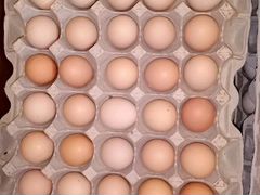 Фермерские яйца