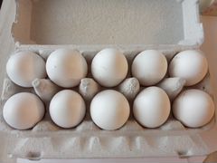 Яйца куриные, домашние