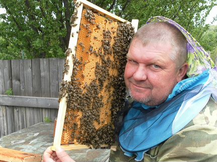 Привезу Пчелопакеты 3+ 1 Пчёлы породы 