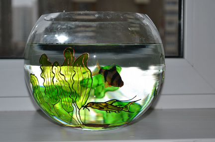 Необычный аквариум 6 литров