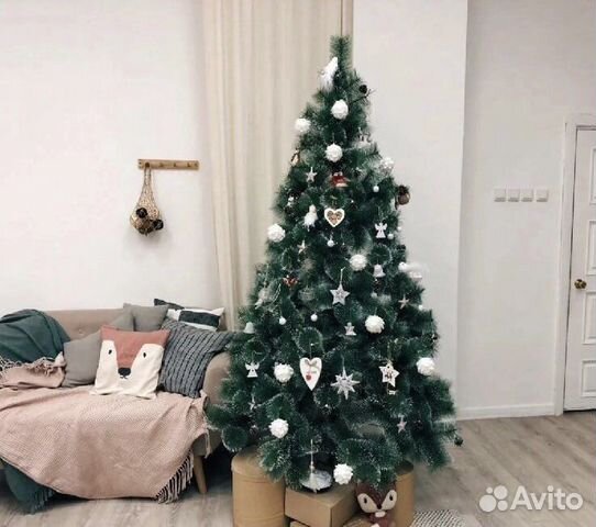 Авито Сосна Новогодняя Купить
