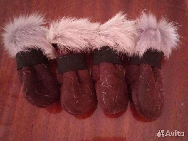 Сапожки для мелких собак