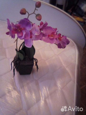 Искусстаенная Орхидея фаленопсис