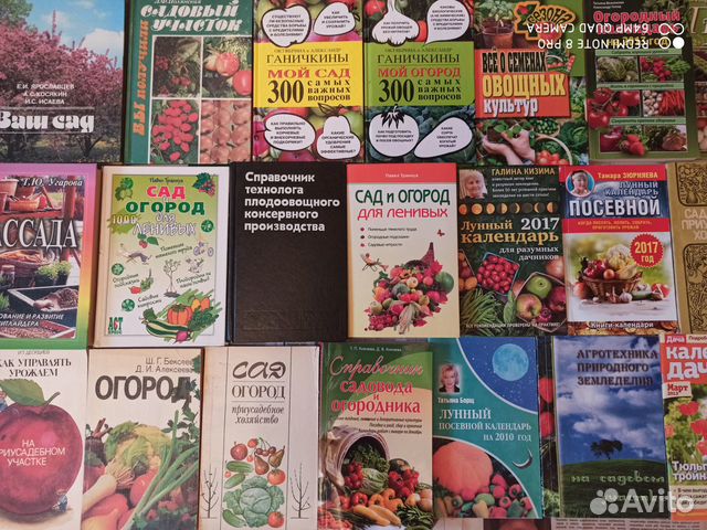 Книги и журналы 