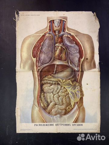 Учебное пособие времен СССР