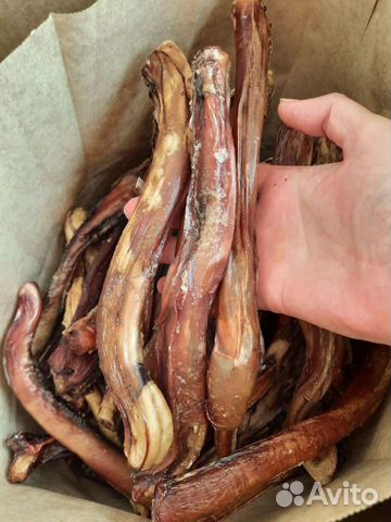 Лакомство для собак всех пород