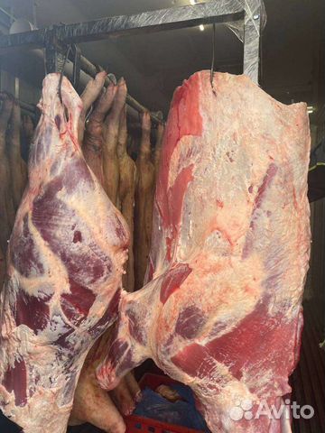 Говядина,телятина,бычки с доставкой на дом