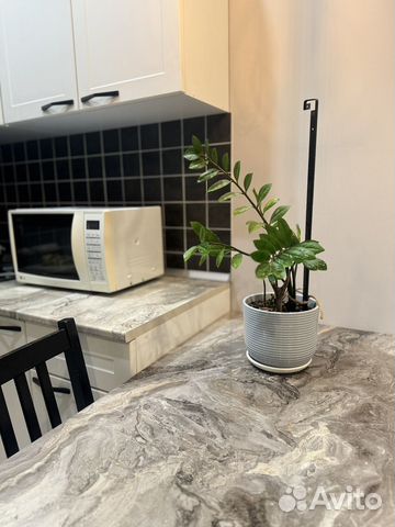 

Квартира-студия, 30 м², 2 кровати