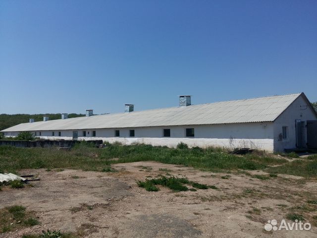 Свинокомплекс (свиноферма) в Крыму, 2300 м²