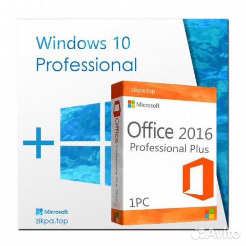 Office Pro Plus Купить