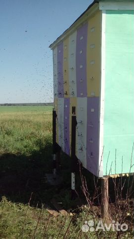 Пчелопавельон купить на Зозу.ру - фотография № 2