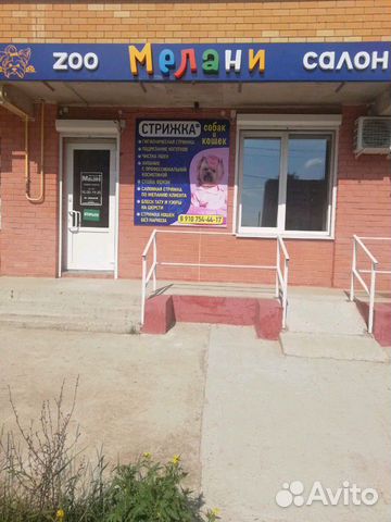 Стрижка собак и кошек