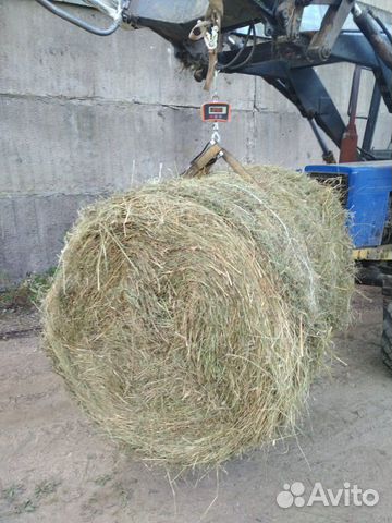 Сено луговое