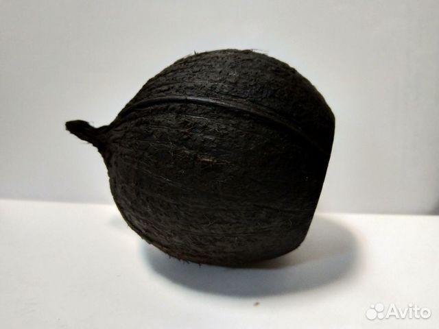 Укрытия из кокосов и коряги купить на Зозу.ру - фотография № 5