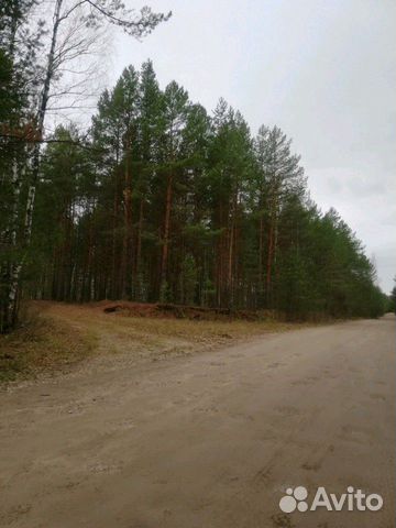 Участок 6 сот. (СНТ, ДНП) Участок 6 сот. (СНТ, ДНП)