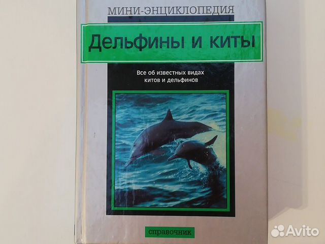 Дельфинотерапия, дрессировка дельфинов