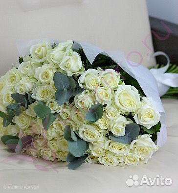Розы Розы