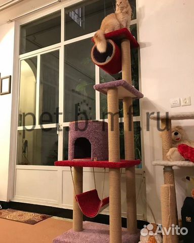 Домик когтеточка, комплекс для кошки