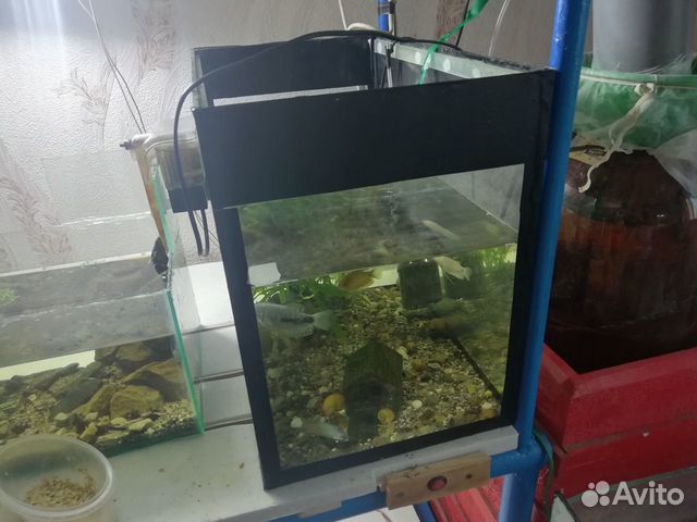 Продам аквариум купить на Зозу.ру - фотография № 6