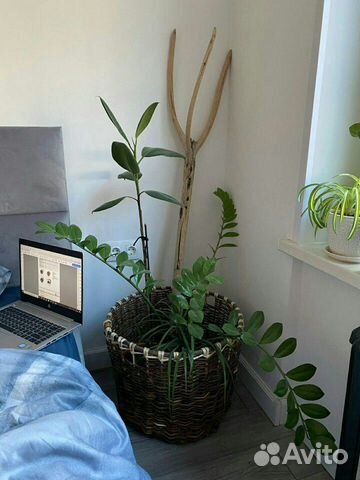 Корзина большая плетеная Корзина большая плетеная