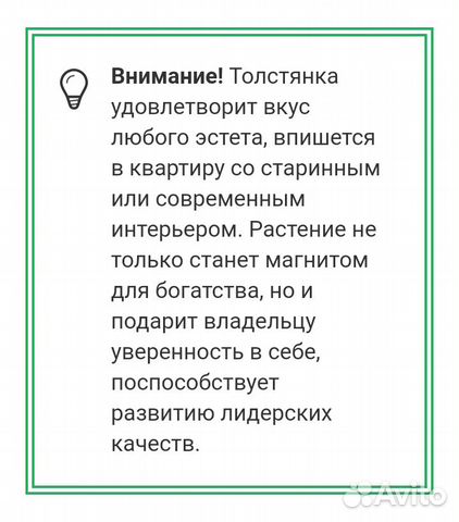 Толстянка Толстянка