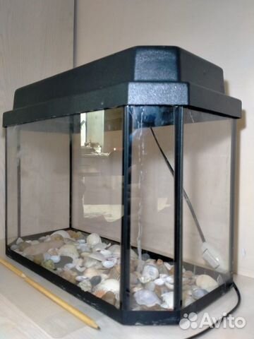 Аквариум для рыб 20 л с мор. камешками и ракушками Аквариум для рыб 20 л с мор. камешками и ракушками