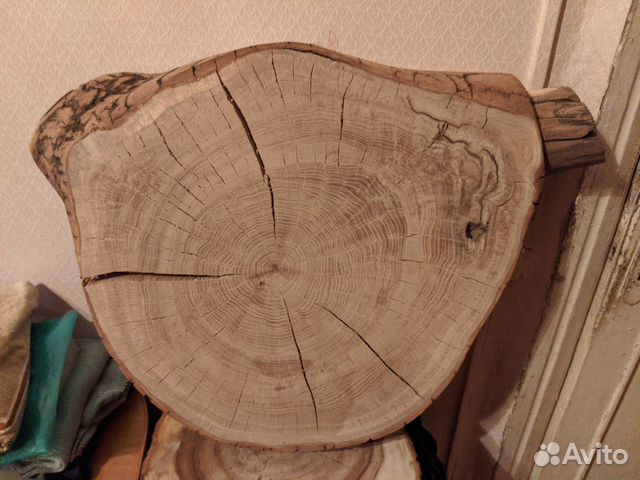 Спил дуба торцевой