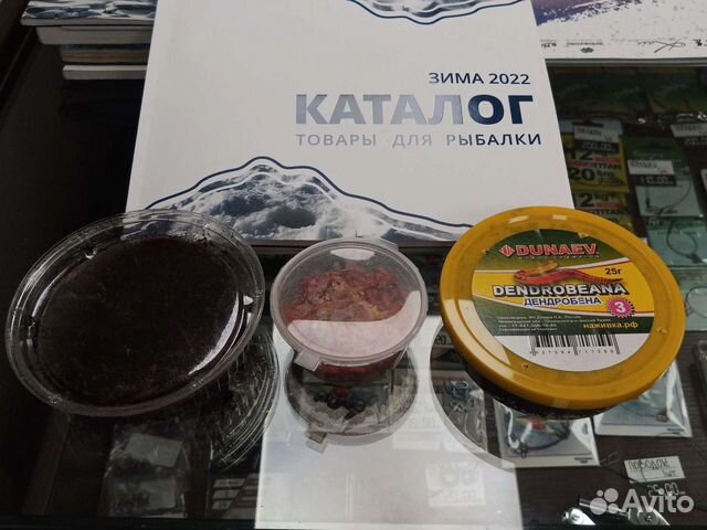 Наживка для рыбалки