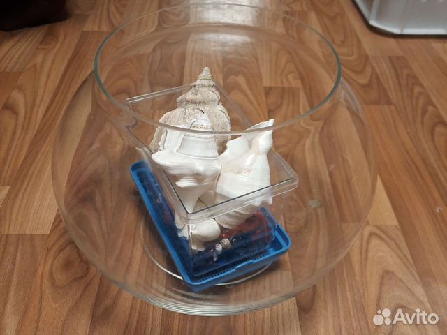 Аквариум, переноска, грует