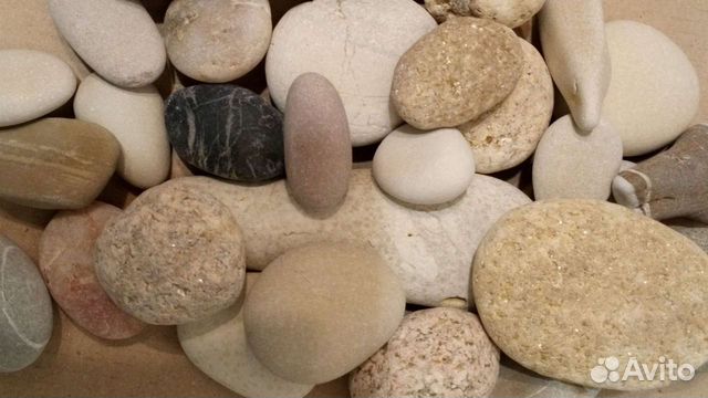 Коллекция морских камней