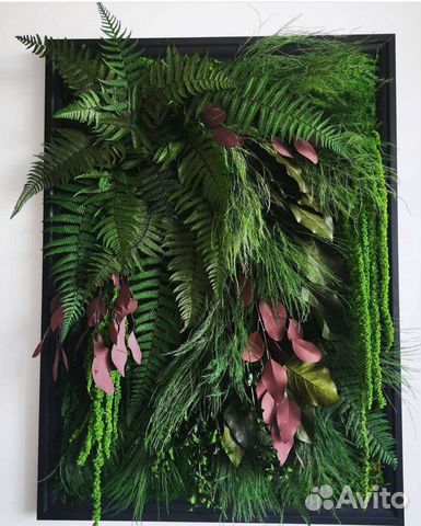 Фитокартина картина из мха