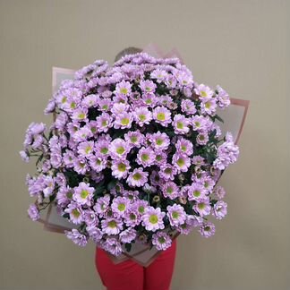 Ромашки. Сантини. Букет из кустовой хризантемы