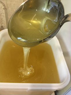 Гипоаллергенный акациевый мед (3 литра). Доставка